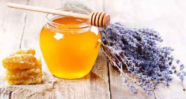 راهنمای خرید عسل جنگلی رشت  + قیمت عالی